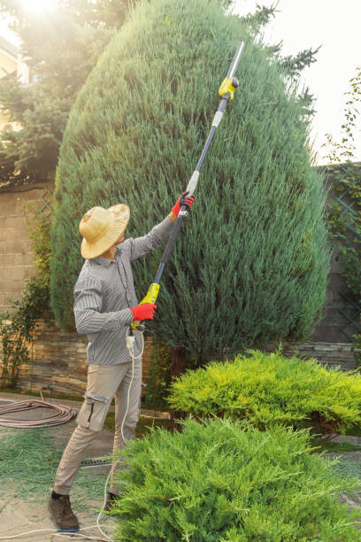 Best Commercial Tree Services  in Point Lookout, NY